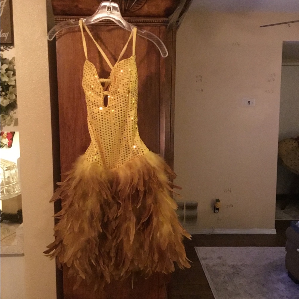 Dancing with the Stars Dress